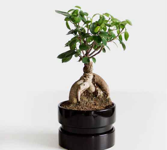 手机号狂轰滥炸软件